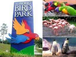 JrBirdPark-1