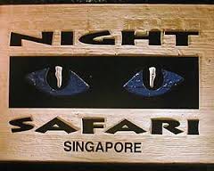 Night Safari-1