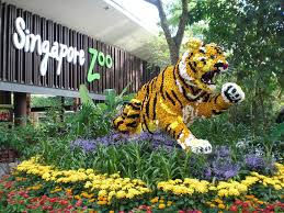 SGZoo-1