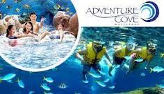 adventure cove