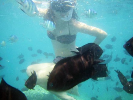 puerto_princesa_honda_bay-PKG-4