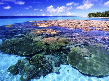 Coral-Island-Marshal-HD